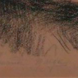 The lady in the Hat Sanguine, pencil and chalk