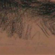 The lady in the Hat Sanguine, pencil and chalk