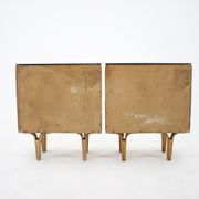 1960s Frantisek Mezulanik Pair of Chest of Drawers, Czechoslovakia