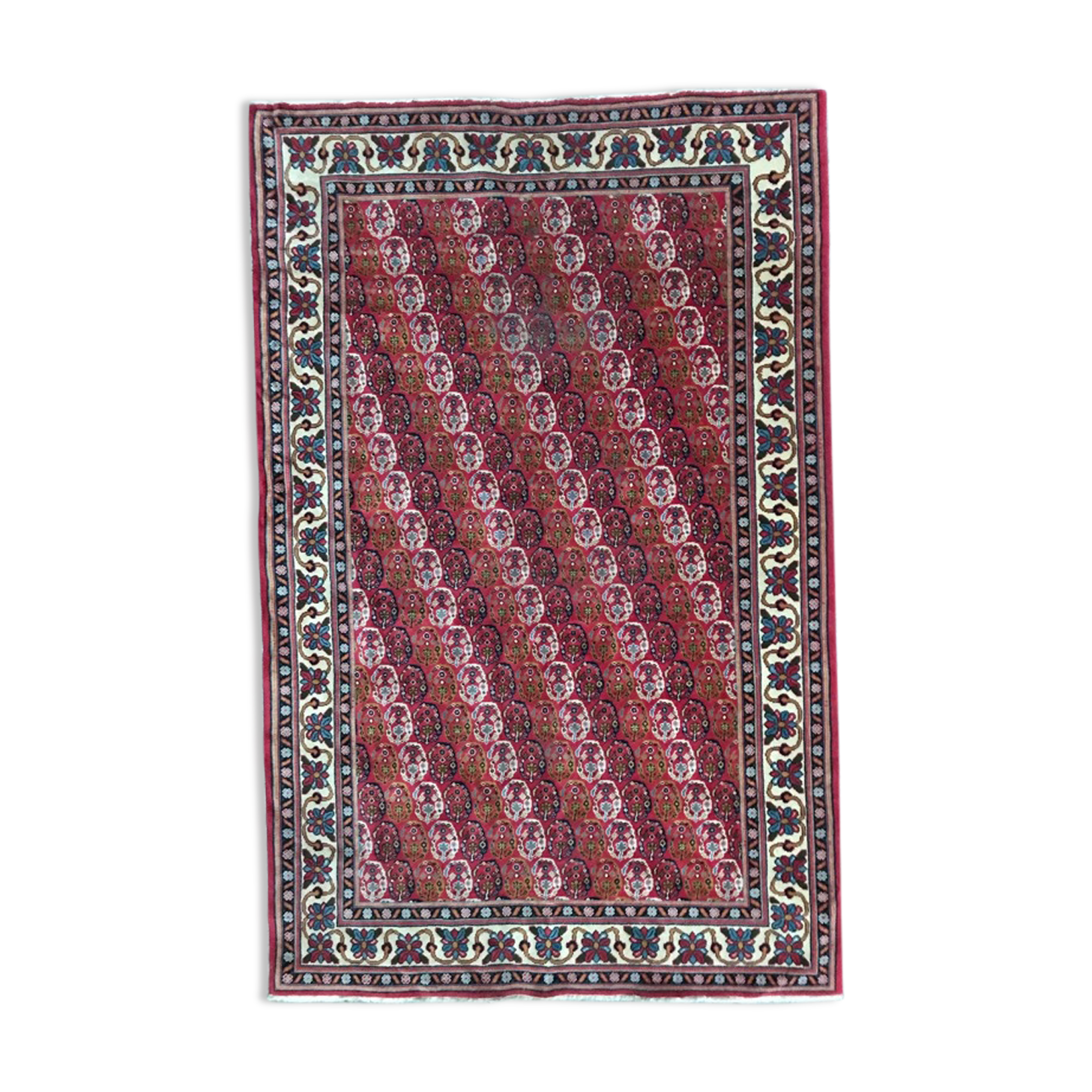 Carpet  Transylvania  170 x 268 cm