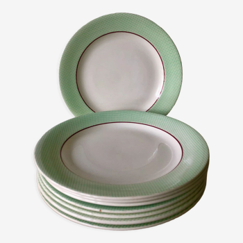 Flat plates green mint Salins