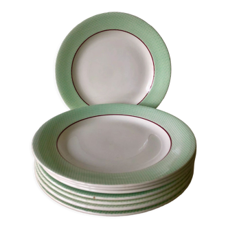 Flat plates green mint Salins