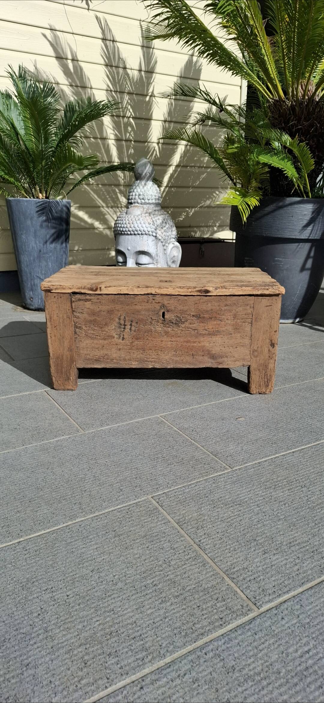 Renovated 1850 trunk