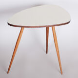 Mid century table, 1950s czechia