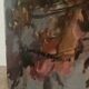 Large bouquet of roses, oil on wood panel, signed