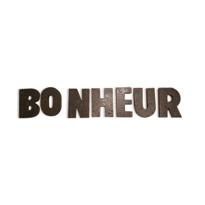 Lettres en bois bonheur longueur