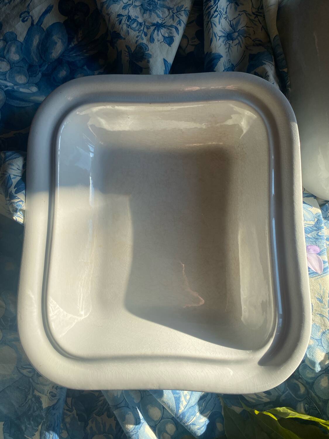 Large antique Villeroy and Boch porcelain dome dish