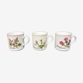 Lot de 3 mugs herbier