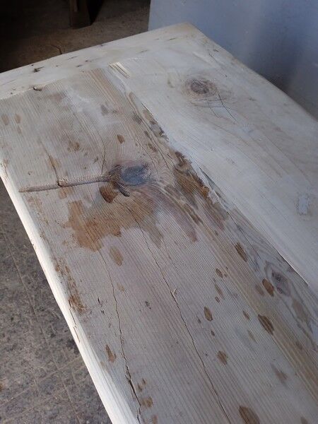 Established 100cm natural solid wood