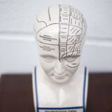Porcelain bust, Fowler phrenology head, cabinet of curiosities, collection