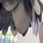 Brutalist suspension Jansen metal welded flower