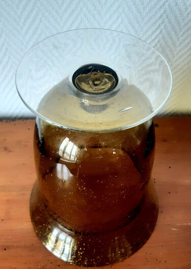 Biot bubbled glass vase