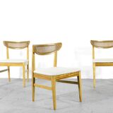 Very Rare Set Of 4 Vintage Midcentury Teak And Cane Bergere Chairs