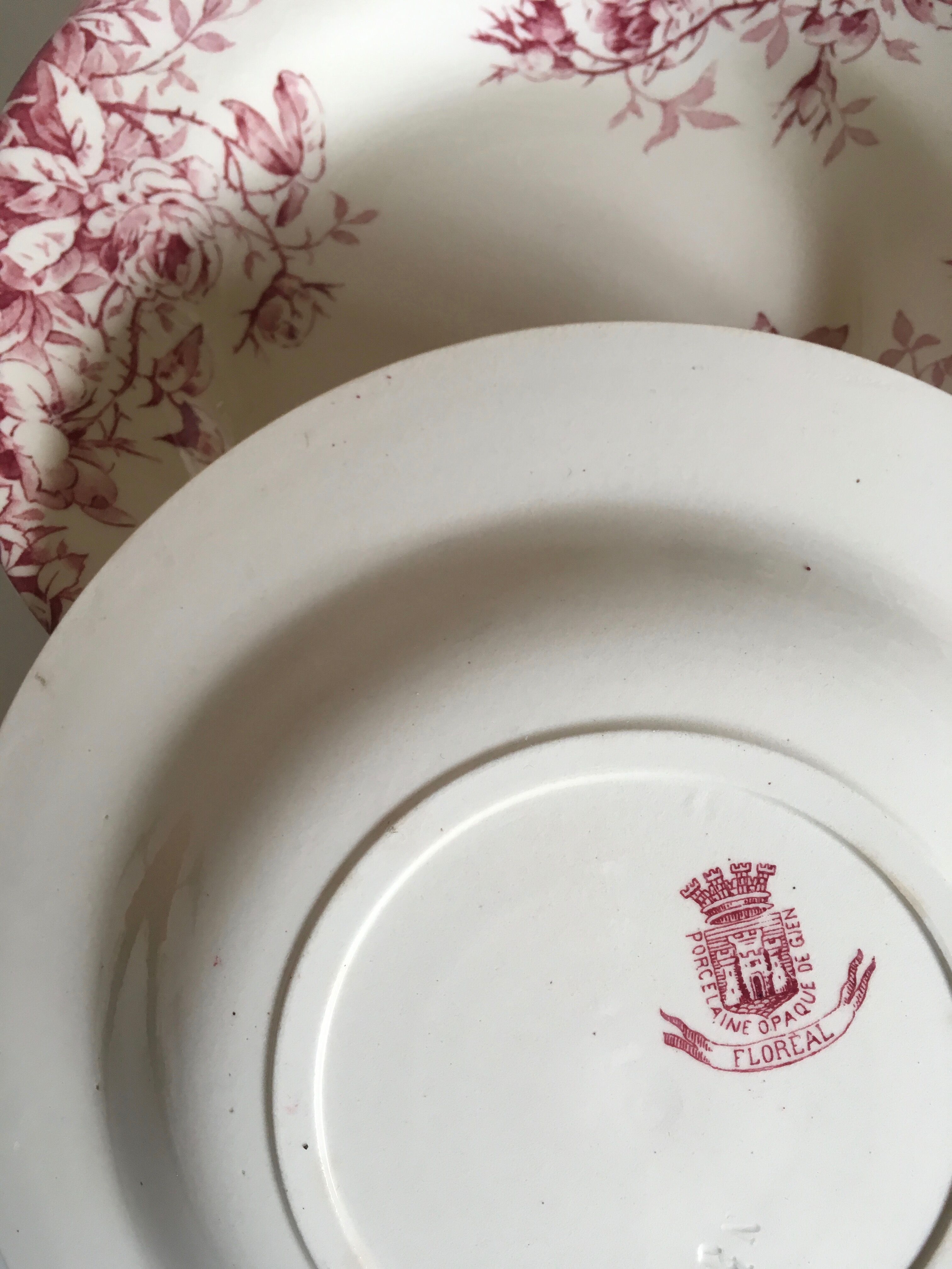 Series of 11 plates flat 19th in faience of Gien