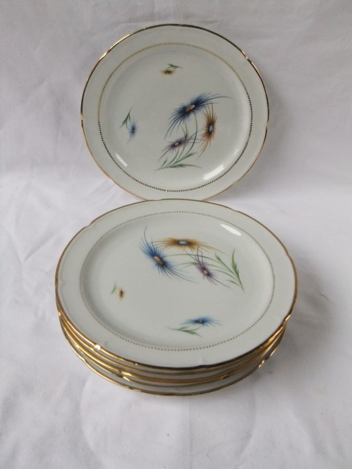 6 Limoge plates service porcelain cover
