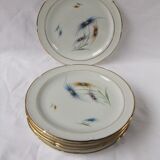 6 Limoge plates service porcelain cover