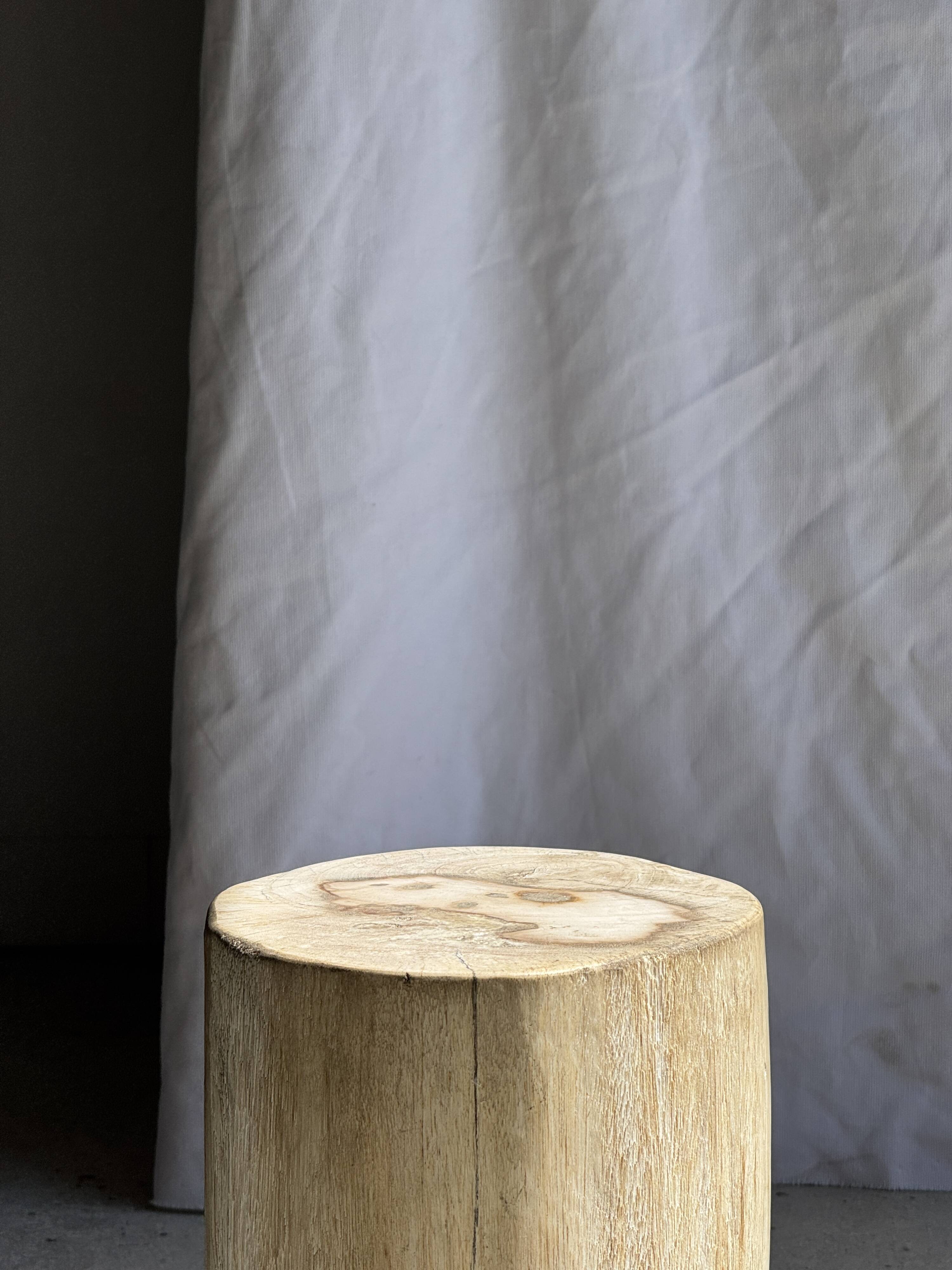 White oval petrified wood side table H38 D28 - 3335