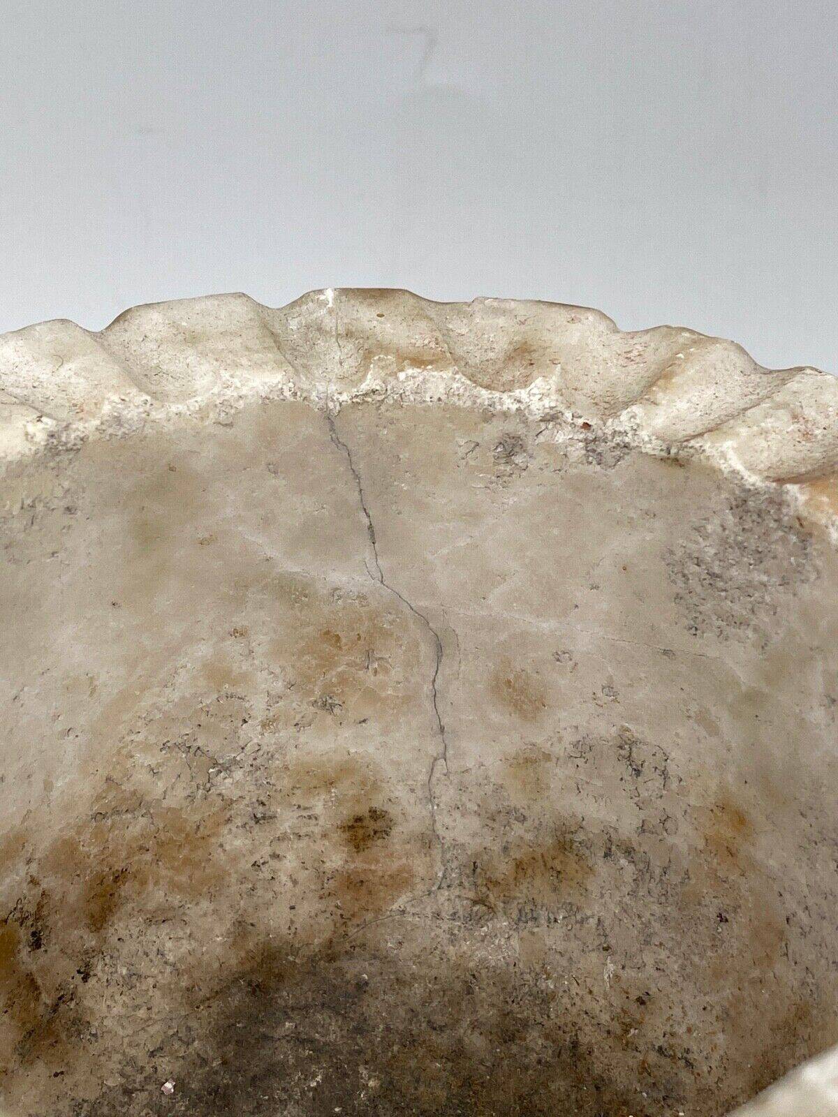 Pharmacy mortar and pestle in alabaster China man's face