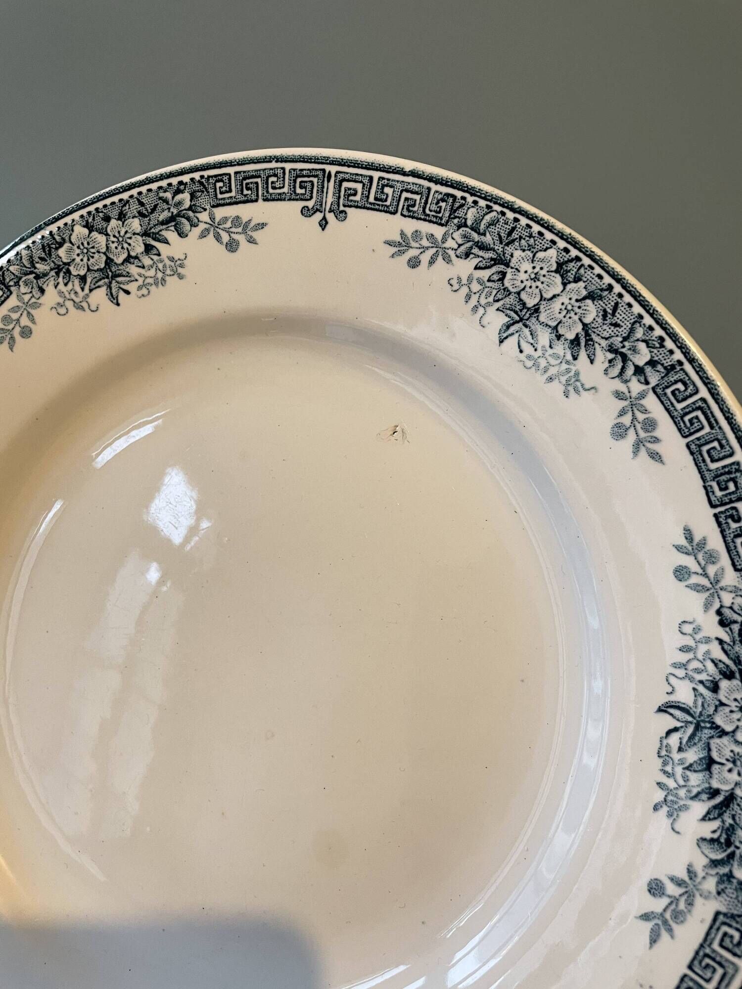 Set of 11 flat plates Terre de Fer in Earthenware of St Amand, model Lucy