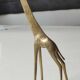 African giraffe figurine in polished brass. high 20 cm