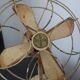 Fan Luxor