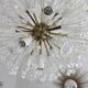 snowball, Dandelion, 17 lights, Emil Stejnar for Rupert Nikoll, Austria 50s