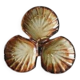 Large scallop shell dish – French earthenware – 1950s–70s – Vintage