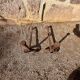 Paire de chenets ancien