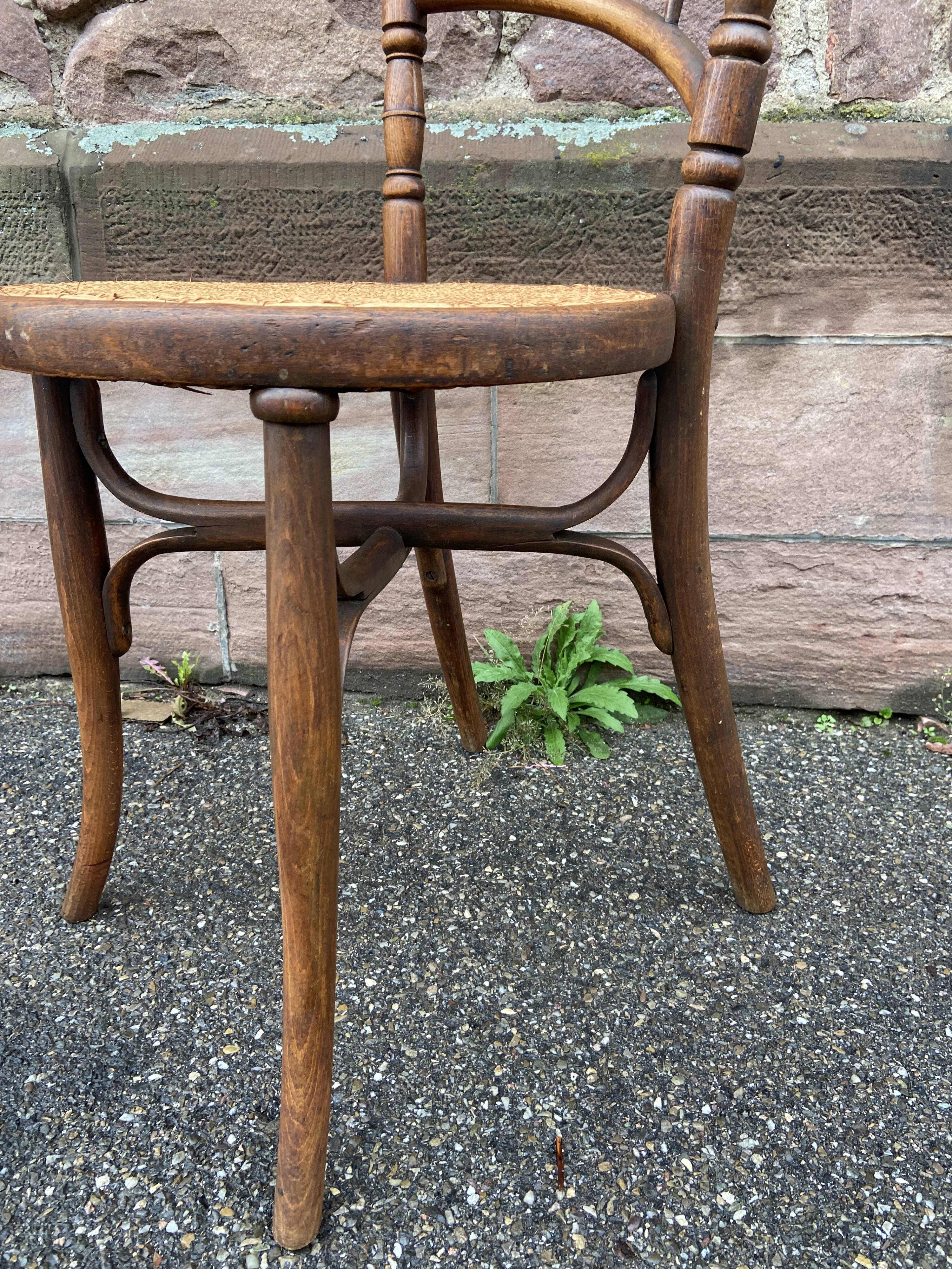 Pair of Viennese bistro café chairs by L. & H. Cambier Frères bentwood belgium