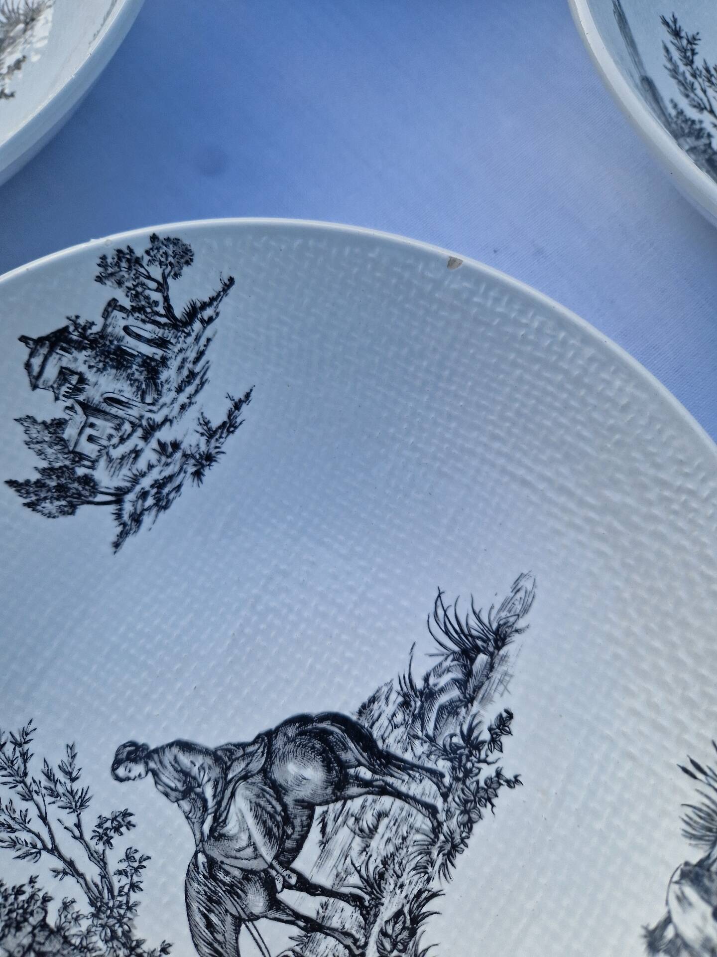 Assiettes Creuses Ou Bols Salins Modèle Pastorale