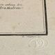 Botanical engraving of Lavatera Malvone
