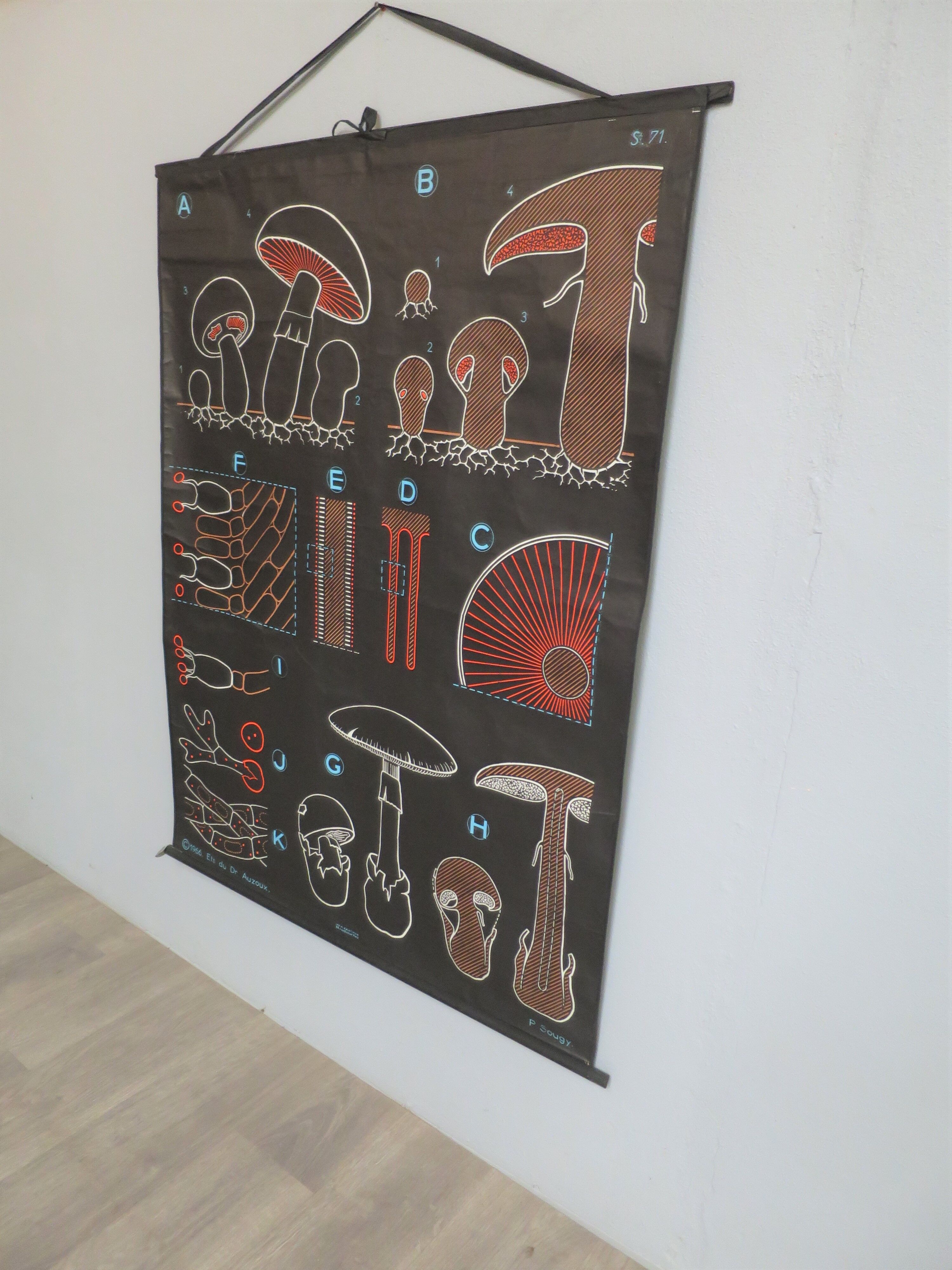 Vintage poster Dr Audoux mushroom theme