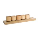 Set of 5 cockroaches on their wooden, vintage support