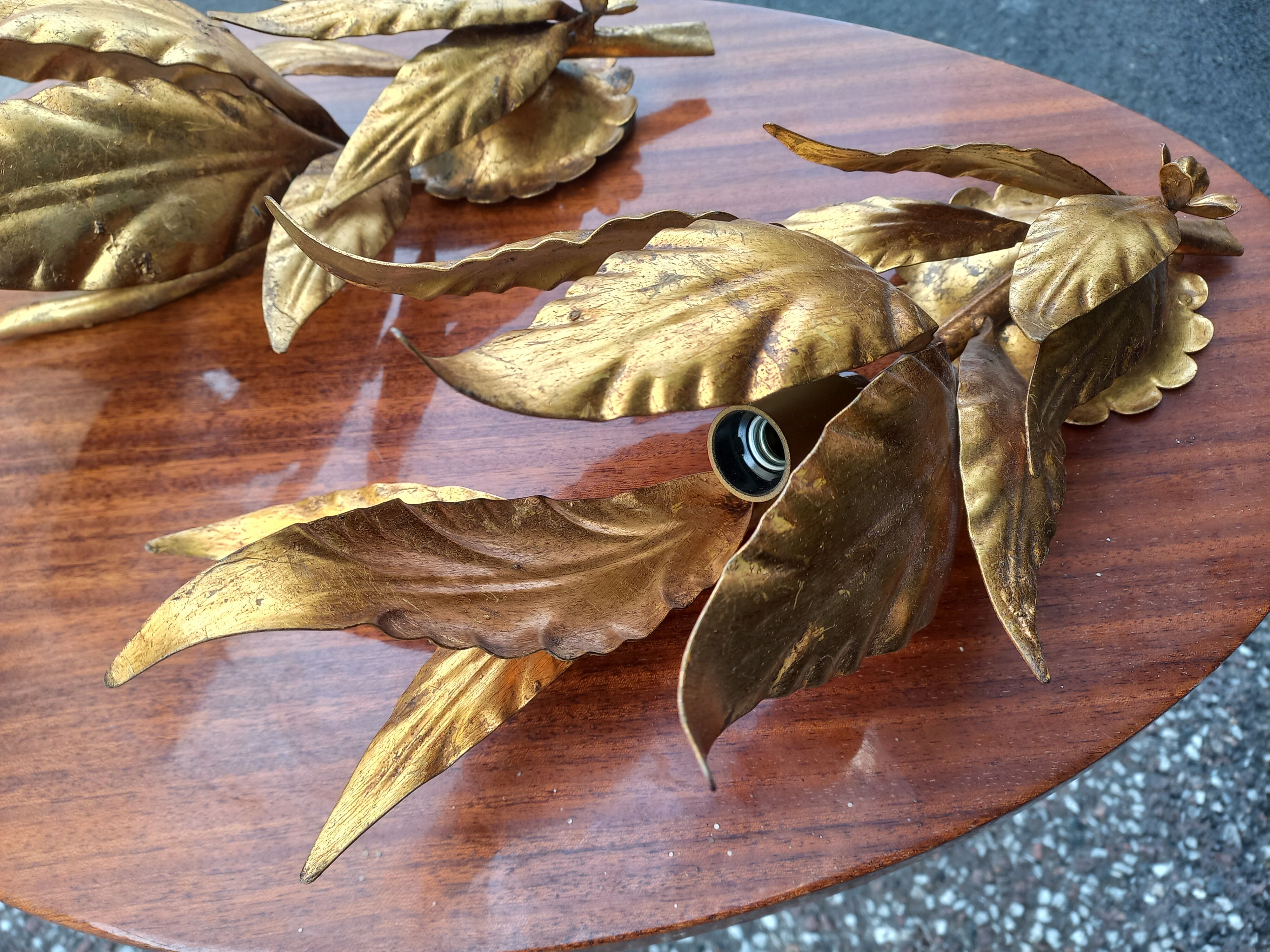 Pair of gold leaf sconces