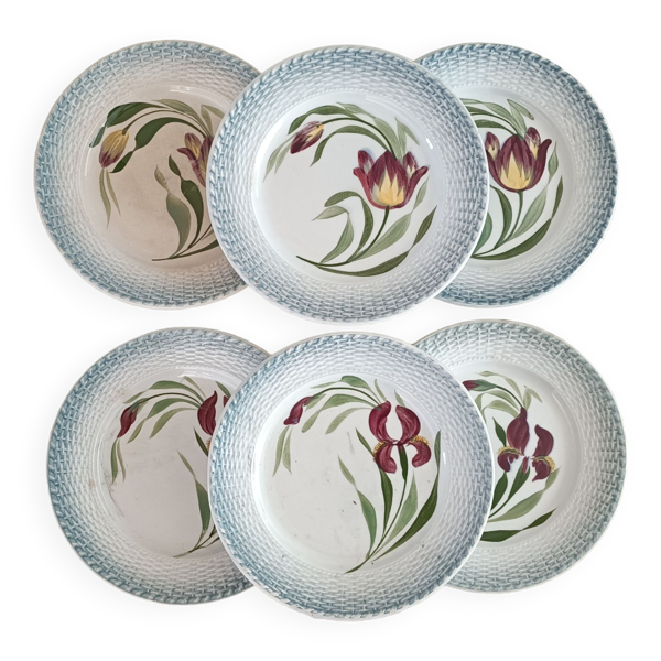 6 assiettes Saint Amand décor iris