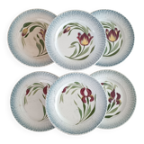6 Saint Amand plates iris decor