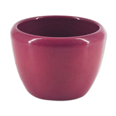 Pot de fleurs rouge bordeaux.