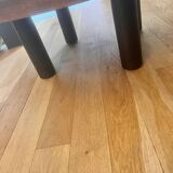 Table basset herbier Roger capron