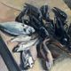 Still life with lobsters and fish, oil on canvas signed