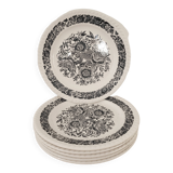 Set of 6 dessert plates