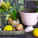 Vintage free-form tripod ceramic cactus planter