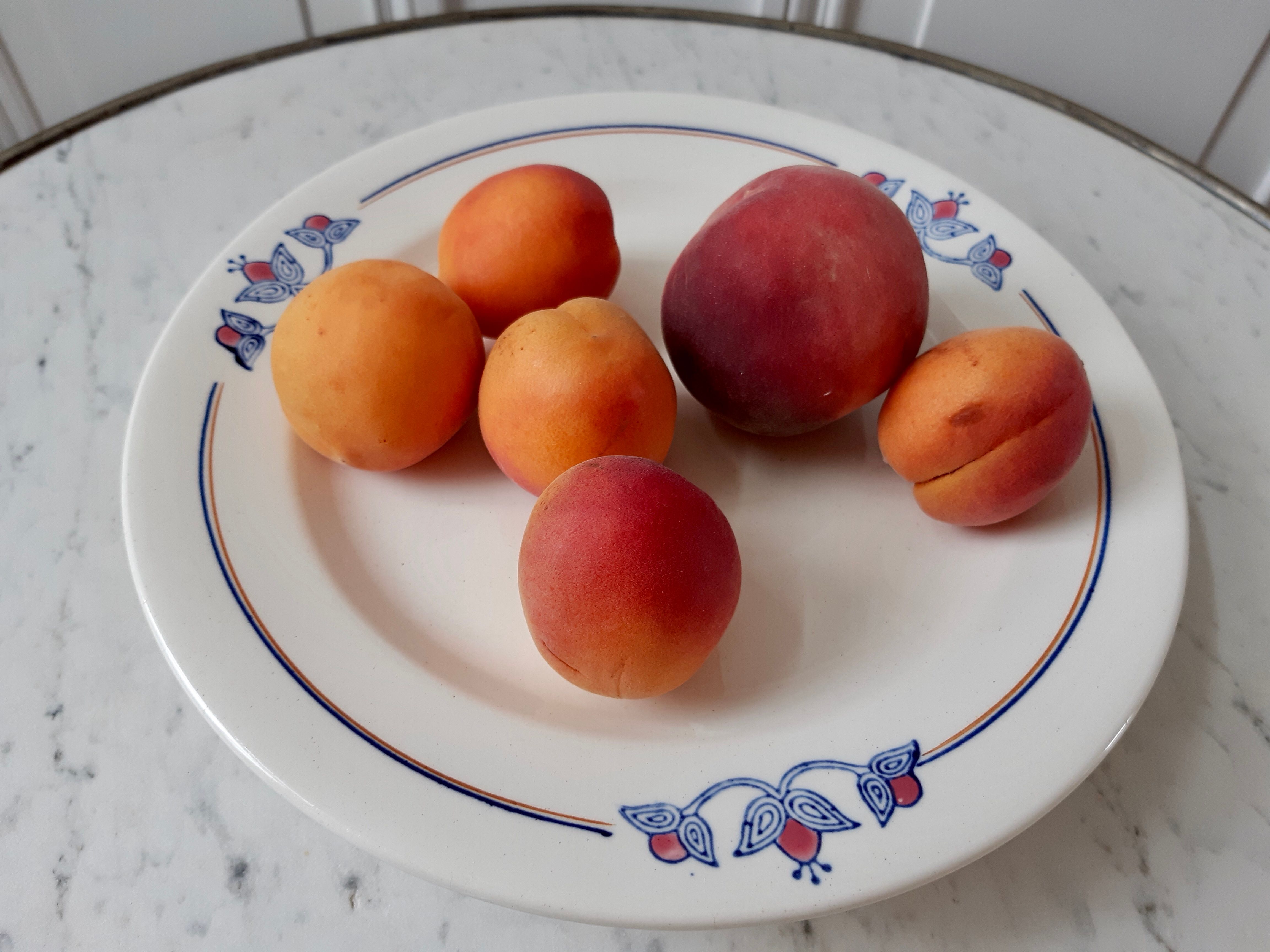 Compotier / servant low Iron Land Salins E Charbonnier