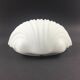 Large Minimalist Opaline Glass Shell-Shaped Wall Light from Limburg, Germany, 1970s