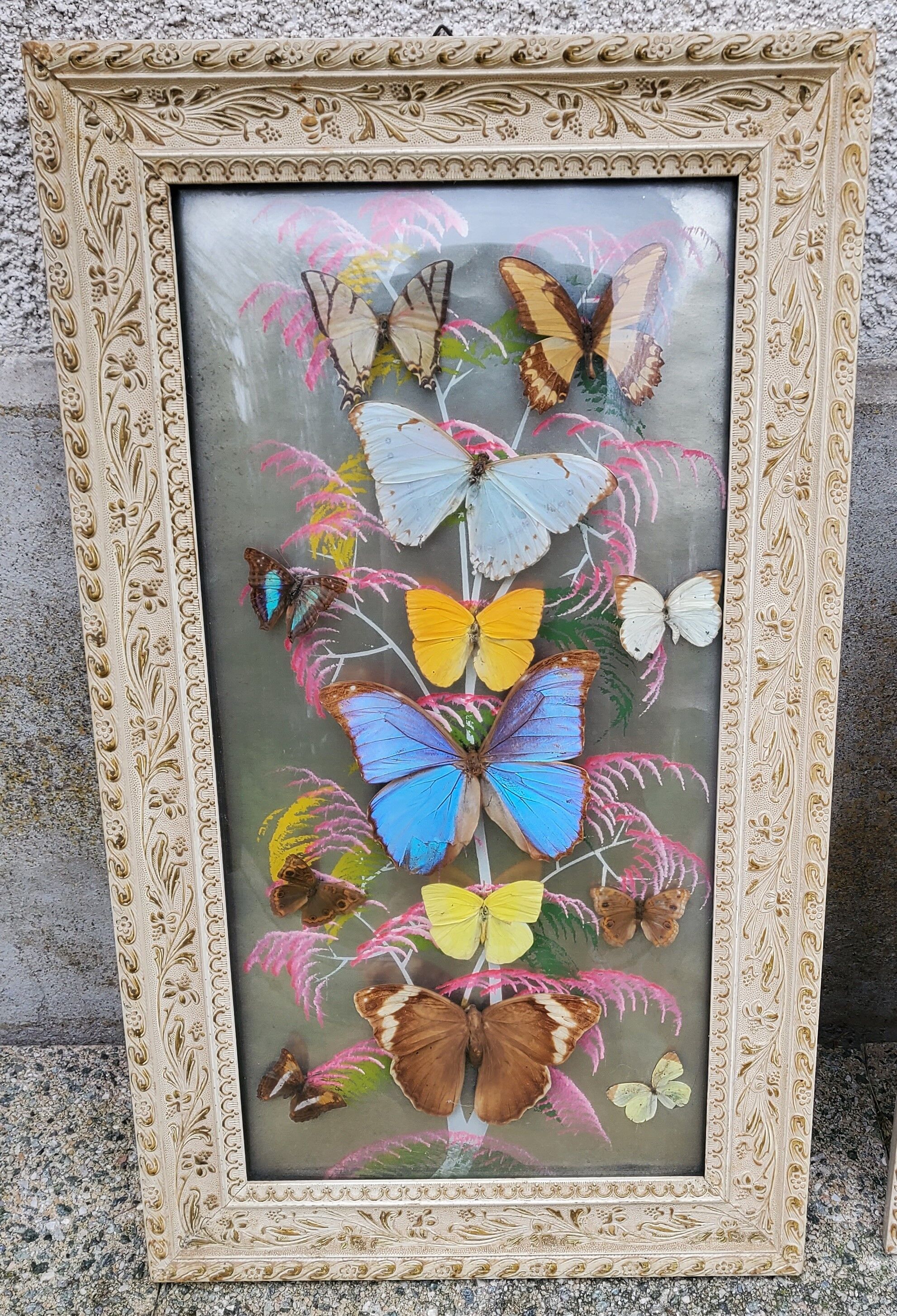 Stuffed butterflies under frames