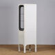 Vintage iron and glass medical cabinet, 1970s