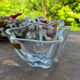 Crystal cup