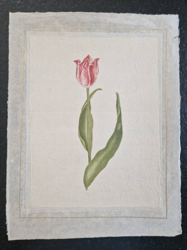 La Roche Laffitte (Born in 1943) - Watercolour drawing on silk - Tulip