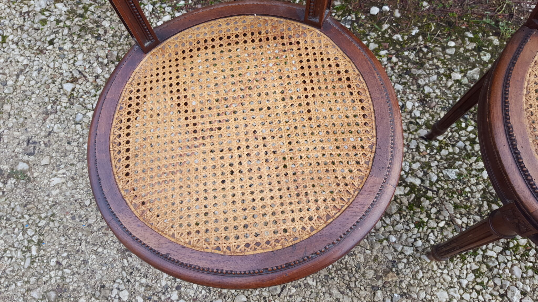 Pair of Louis XVI style walnut chairs