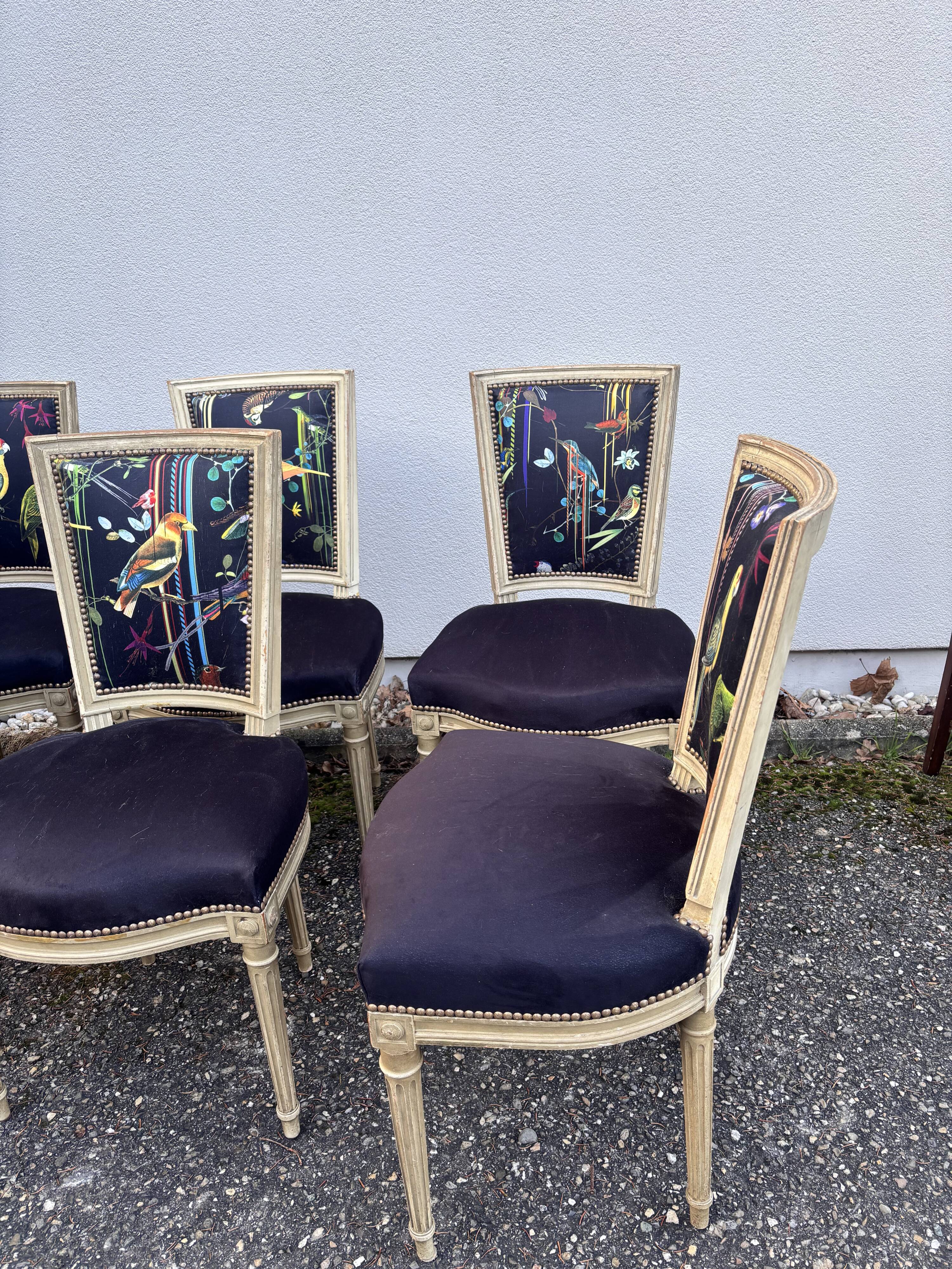 Set of 6 Louis XVI dining chairs