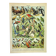Gravure ancienne 1897 A. Millot - Oiseaux 1, espèces, perroquet, rapace